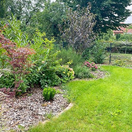 Ferienwohnung Kamrath Mit Wunderschoenem Ausblick Neuruppin Zewnętrze zdjęcie