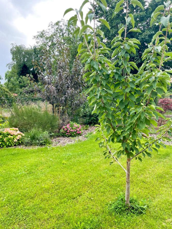 Ferienwohnung Kamrath Mit Wunderschoenem Ausblick Neuruppin Zewnętrze zdjęcie