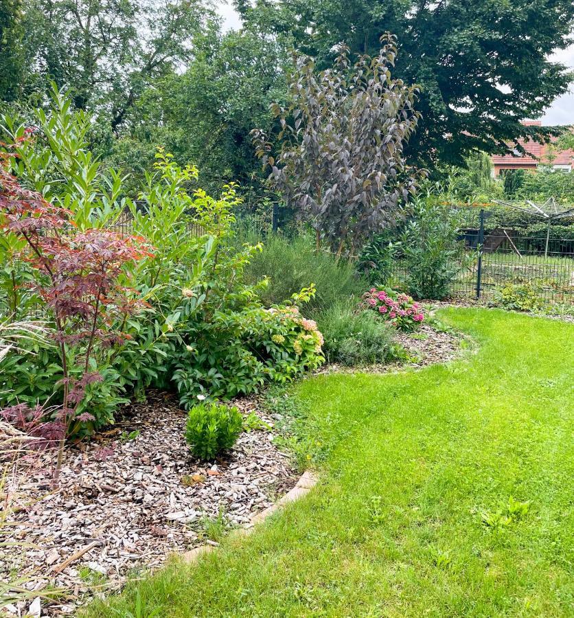 Ferienwohnung Kamrath Mit Wunderschoenem Ausblick Neuruppin Zewnętrze zdjęcie